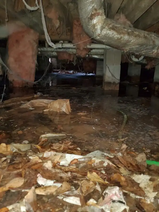 Crawl space flood assessment for Commercial Water Damage Restoration in Forks