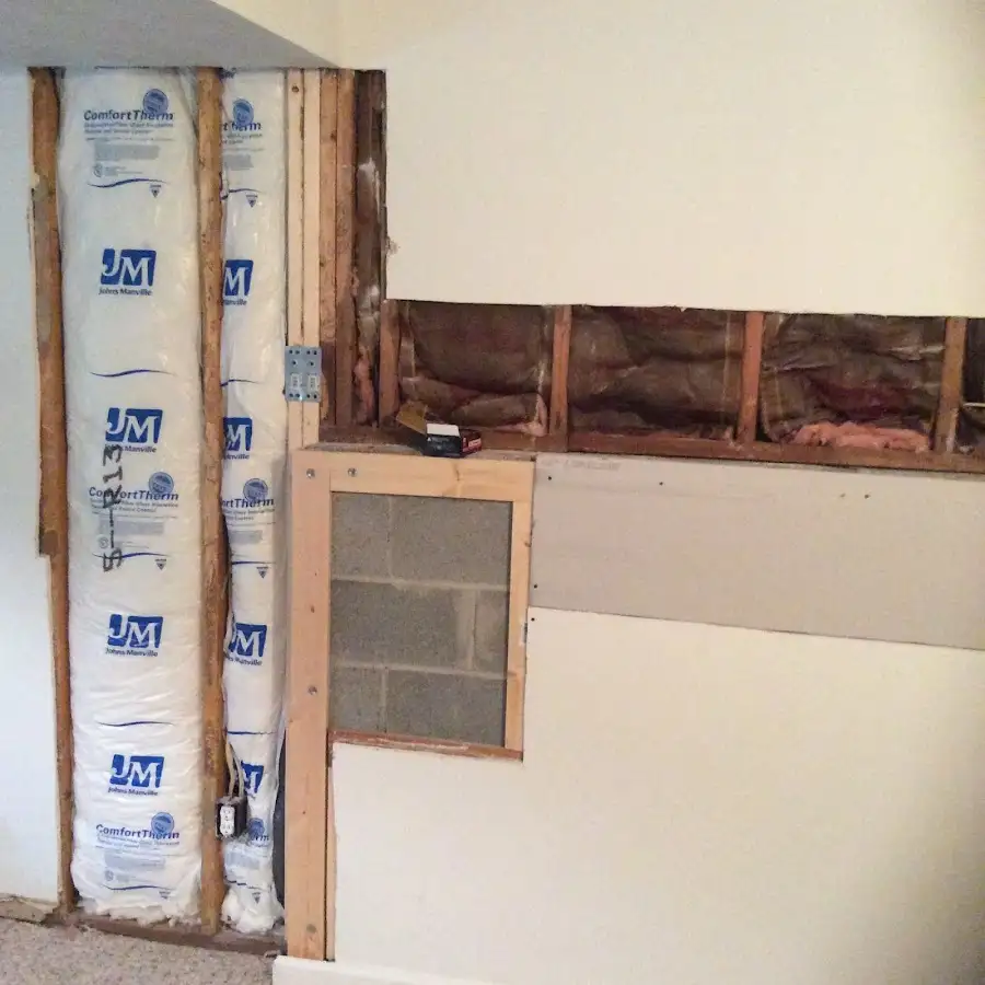 Wall insulation replacement during Odor Removal & Deodorization in Forks